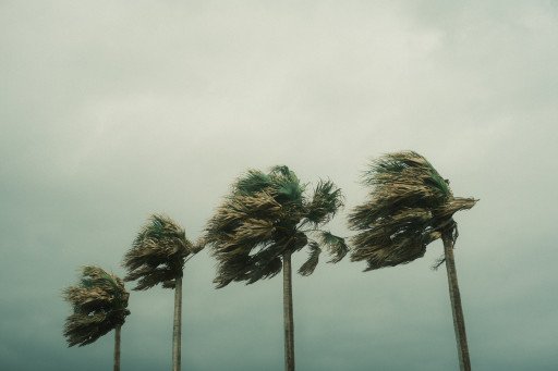 Comprehensive Guide to Tropical Storm and Hurricane Forecasts